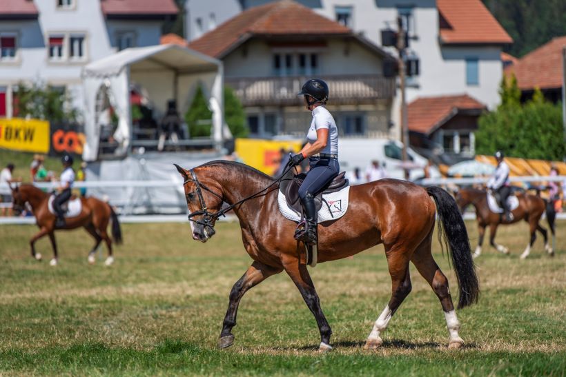 présentation du Haras national