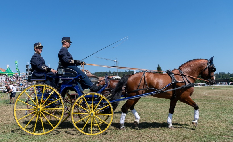 présentation du Haras national