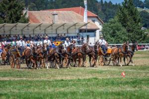 quadrille2001_original