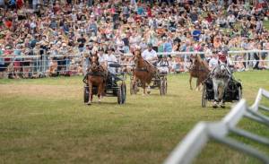 MarcheConcours_2023_CourseDeVoitureA4Roues1Cheval_04_ND56432_pw_original