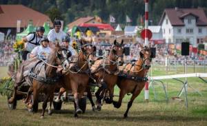 MarcheConcours_2023_CoursesDeCharsA4Chevaux_05_ND56478_pw_original