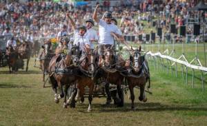 MarcheConcours_2023_CoursesDeCharsA4Chevaux_13_ND56541_pw_original