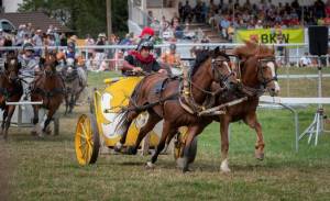 MarcheConcours_2023_CoursesDeCharsRomains2Chevaux_06_ND56386_pw_original