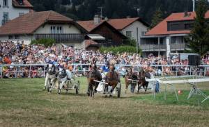 MarcheConcours_2023_CoursesDeCharsRomains2Chevaux_14_ND80878_pw1_original