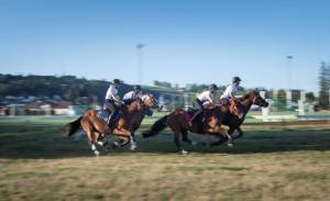 MarcheConcours_2023_CoursesLibreAuGalop_06_ND62578_pw_original