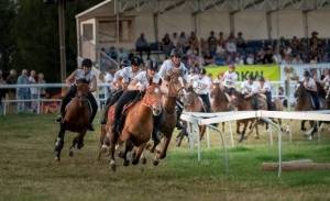 MarcheConcours_2023_CoursesLibreAuGalop_12_ND55686_pw_original