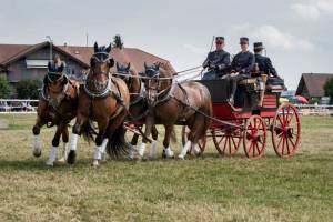 MarcheConcours_2023_PresentationHarasNational_06_ND80684_pw_original