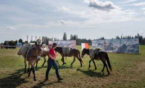 MarcheConcours_2023_PresentationHoteDHonneurValais_23_ND63514_pw_original