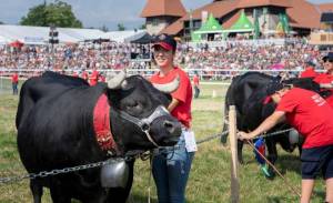 MarcheConcours_2023_PresentationHoteDHonneurValais_26_ND63532_pw_original