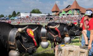 MarcheConcours_2023_PresentationHoteDHonneurValais_28_ND63543_pw_original