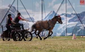 MarcheConcours_2023_PresentationHoteDHonneurValais_38_ND80644_pw_original