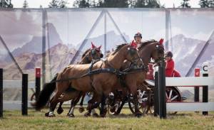 MarcheConcours_2023_PresentationHoteDHonneurValais_41_ND80650_pw_original