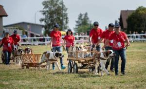 MarcheConcours_2023_PresentationHoteDHonneurValais_46_ND56674_pw_original