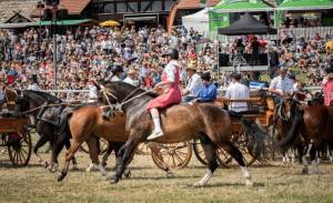 MarcheConcours_2023_QuadrilleCampagnard_21_ND80732_pw_original