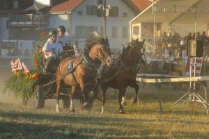 260807_19h50_No8a_CourseDeChars2Chevaux_31_ND56777_web_original
