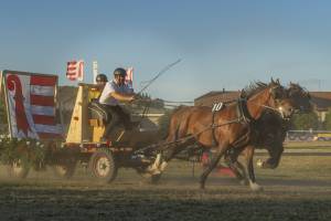 260807_19h50_No8a_CourseDeChars2Chevaux_35_ND56800_web_original