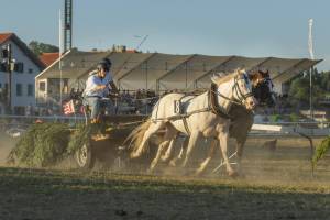 260807_19h50_No8a_CourseDeChars2Chevaux_38_ND56808_web_original