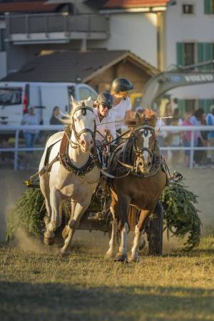 260807_19h50_No8a_CourseDeChars2Chevaux_42_ND82393_web_original