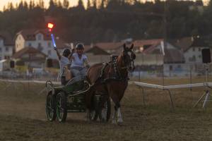 260807_21h15_No11_CourseAuTrotAttelAuFlambeau_82_ND57032_web_original