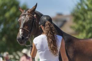 260808_13h30_ChampionnatEtalons_257_ND57737_web_original