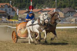 260808_15h30_No14a_CourseDeCharsRomains2Chevaux_295_ND57861_web_original