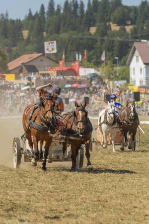 260808_15h30_No14a_CourseDeCharsRomains2Chevaux_308_ND57924_web_original_copy_1