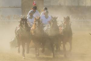 260808_16h30_No18_CourseDeCharsA4Chevaux_392_ND58400_web_original