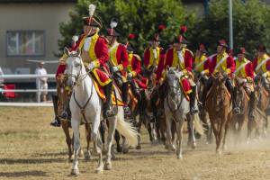 260809_10h30_PresentationCantonDeBerne_431_ND82499_web_original