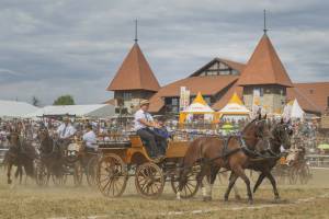 260809_11h30_QuadrilleCampagnardMonteEtAttele_460_ND58557_web_original