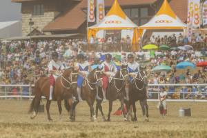 260809_11h30_QuadrilleCampagnardMonteEtAttele_466_ND58573_web_original