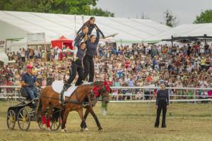 260809_12h30_PresentationCantonDeBerne_504_ND58670_web_original