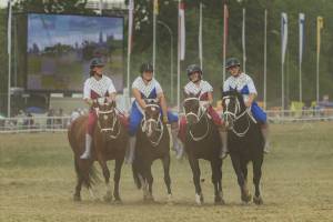 260809_13h40_QuadrilleCampagnardMonteEtAttele_525_ND58756_web_original