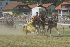 260809_15h45_No21_CourseDeCharsRomains2Chevaux_647_ND59067_web_original