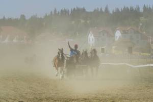 260809_16h45_No25_CourseDeCharsRomains4Chevaux_716_ND59563_web_original